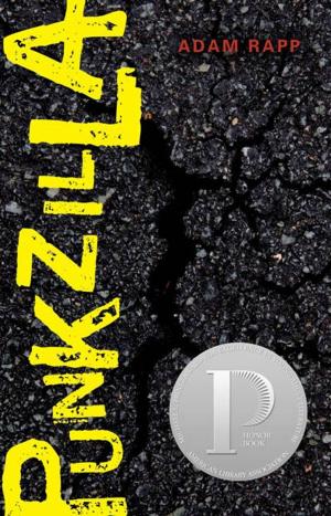 Cover of the book Punkzilla by Pete Hautman