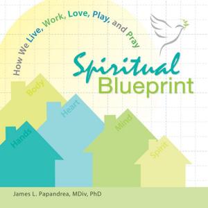 Cover of the book Spiritual Blueprint by John Shea