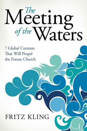 Cover of the book The Meeting of the Waters: 7 Global Currents That Will Propel the Future Church by Michael S. Barry