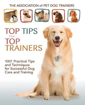 Cover of the book Top Tips From Top Trainers by Tammy Gagne