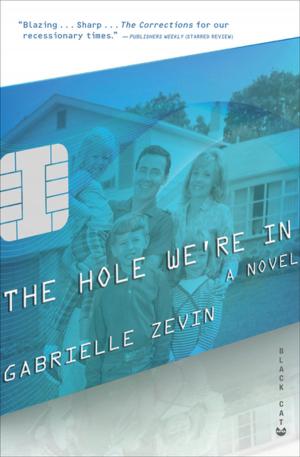 Cover of the book The Hole We're In by sam mccoll