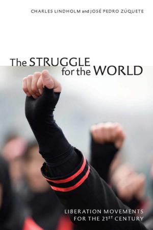 Cover of the book The Struggle for the World by Bin Xu