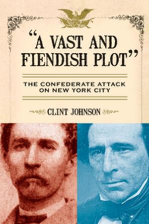 Cover of the book A Vast and Fiendish Plot: by Rick and Amy Rinehart