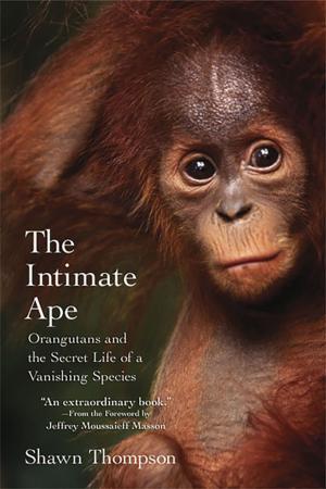 Cover of the book The Intimate Ape: by Lisa Baron