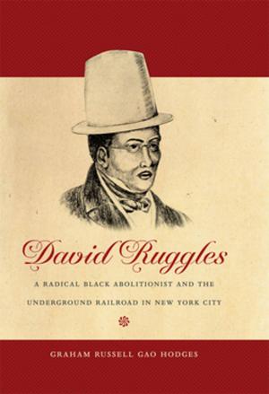 Book cover of David Ruggles