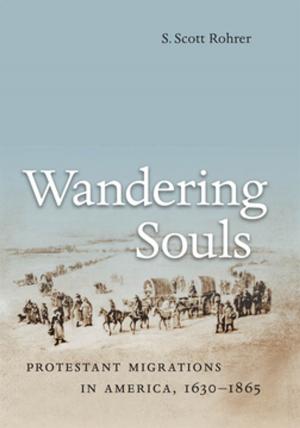 Book cover of Wandering Souls