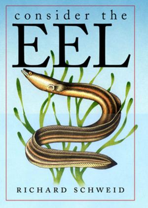 Cover of the book Consider the Eel by 