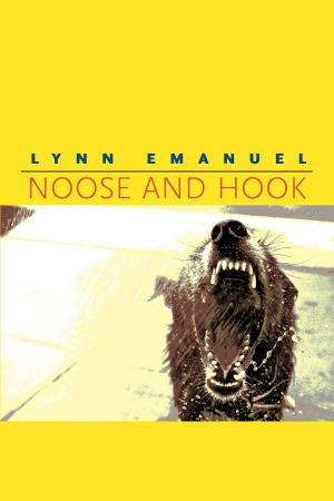 Cover of the book Noose and Hook by Peter Allchin