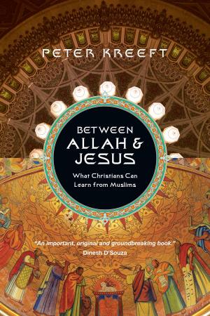 Cover of the book Between Allah & Jesus by Michelle Ferrigno Warren