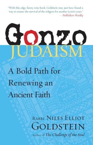 Cover of the book Gonzo Judaism by Michael Stone