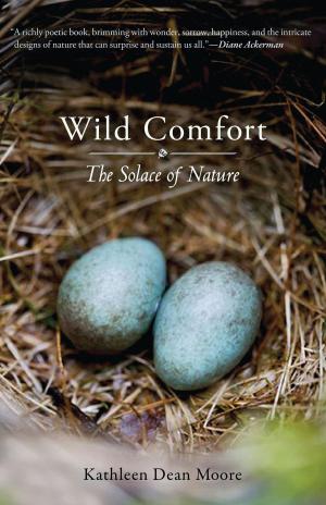 Cover of the book Wild Comfort by Jalaluddin Rumi