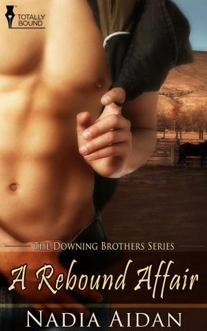 Cover of the book A Rebound Affair by Megan Slayer