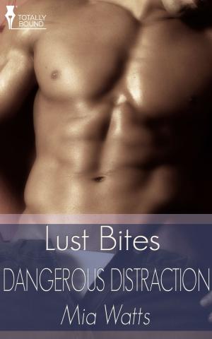 Book cover of Dangerous Distraction