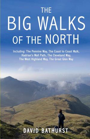 Cover of the book The Big Walks of the North by Simon Brett
