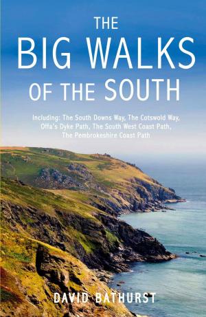 Cover of the book The Big Walks of the South by 黃浩雲．陳瑋玲．吳佳曄．墨刻編輯部