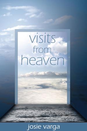 Cover of the book Visits From Heaven by Istvan Fazekas