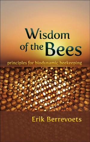 Cover of the book Wisdom of the Bees by Henry Frith