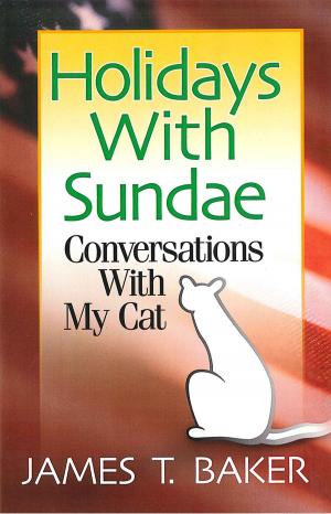 Cover of the book Holidays With Sundae: Conversations With My Cat by Dr James T. Baker