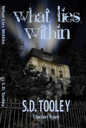 Cover of the book What Lies Within by S.D. Tooley