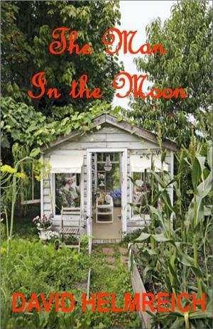 Cover of The Man in the Moon