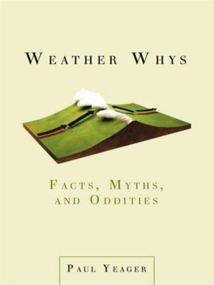 Cover of the book Weather Whys by Ann Wertz Garvin