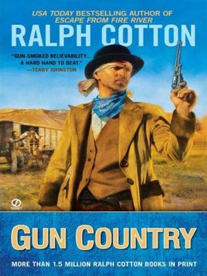 Cover of the book Gun Country by Selden Edwards