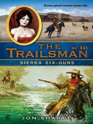 Cover of the book The Trailsman #341 by Danzy Senna