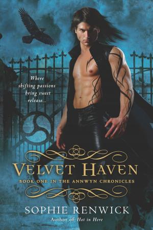 Cover of the book Velvet Haven by Stephen R. Donaldson