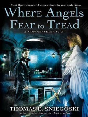 Cover of the book Where Angels Fear to Tread by Tami Hoag