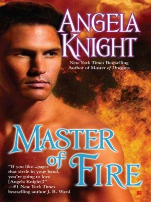 bigCover of the book Master of Fire by 