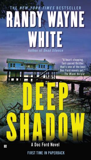Cover of the book Deep Shadow by Marc Schoen, Kristin Loberg