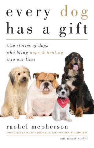 Cover of Every Dog Has a Gift