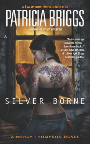 bigCover of the book Silver Borne by 
