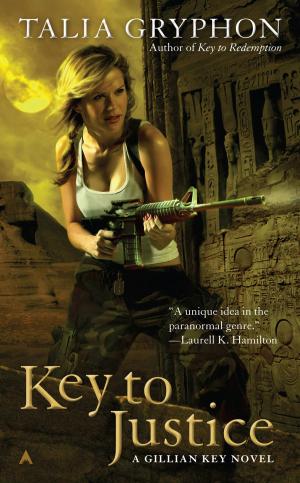 Cover of the book Key to Justice by Lucy Burdette