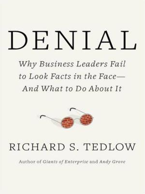 Cover of the book Denial by Lawrence Raab