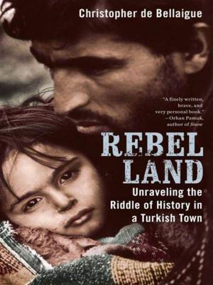 Cover of the book Rebel Land by John Lescroart