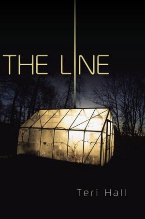 Cover of the book The Line by Stéphane GdG