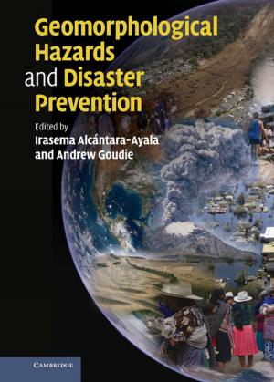 Cover of the book Geomorphological Hazards and Disaster Prevention by Jerome R. Busemeyer, Peter D. Bruza