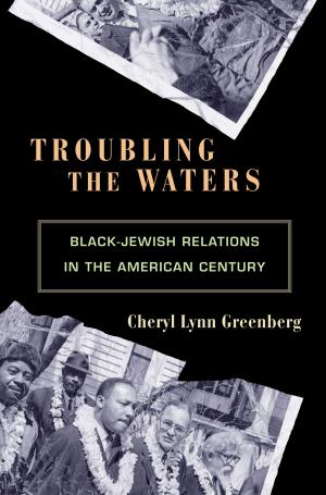 bigCover of the book Troubling the Waters by 