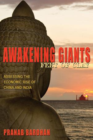 Cover of the book Awakening Giants, Feet of Clay: Assessing the Economic Rise of China and India by Jeremy Mynott
