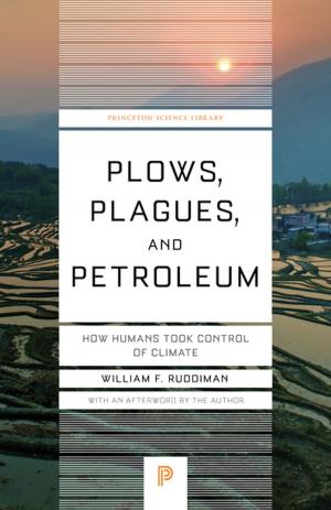 Cover of the book Plows, Plagues, and Petroleum by John L. Campbell, John A. Hall