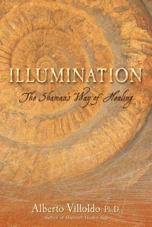 Cover of the book Illumination by Dana Liesegang, Natasha Stoynoff