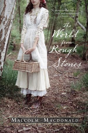 Cover of the book The World from Rough Stones by Carolyn Evans, Jenna McCarthy