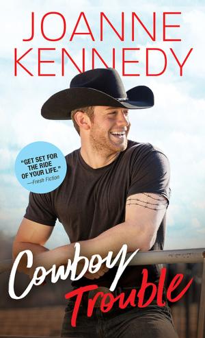 Cover of the book Cowboy Trouble by Christine Fonseca