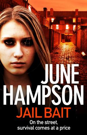Book cover of Jail Bait