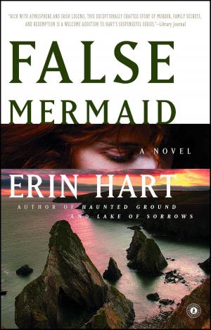 Cover of the book False Mermaid by Mary Yukari Waters
