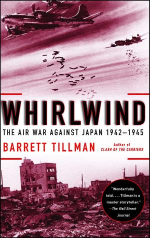 Cover of the book Whirlwind by Terry Ryan
