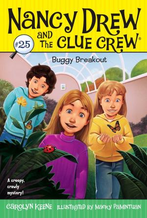 Cover of the book Buggy Breakout by Franklin W. Dixon