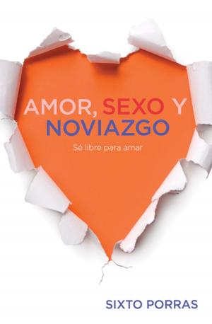 Cover of the book Amor, sexo y noviazgo by Frank E. Peretti