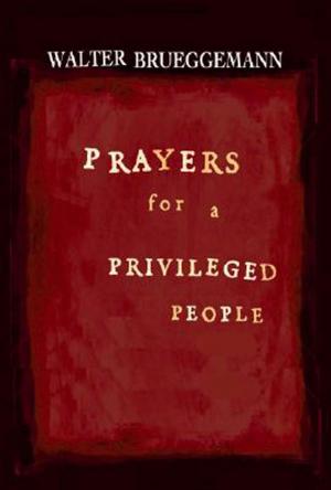Cover of the book Prayers for a Privileged People by John C. Holbert